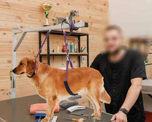 Correa de sujeción para mesa de peluquería canina - Extensor de brazo, correa de sujeción para baño, soporte para cadera (no para sentarse), sujetadores para perros para peluquería canina - Product Image 6