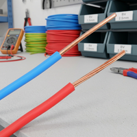 Fil électrique industriel monoconducteur en cuivre nu isolé PVC, indice de protection IP65, 450V/750V, pour installations électriques et projets de câblage