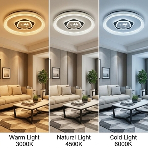 Plafonnier Chic avec Détail Silhouette Flottante, Polyvalent pour Salon et Couloir, Installation Facile, Qualité Supérieure Garantie, Luminaire - Product Image 6