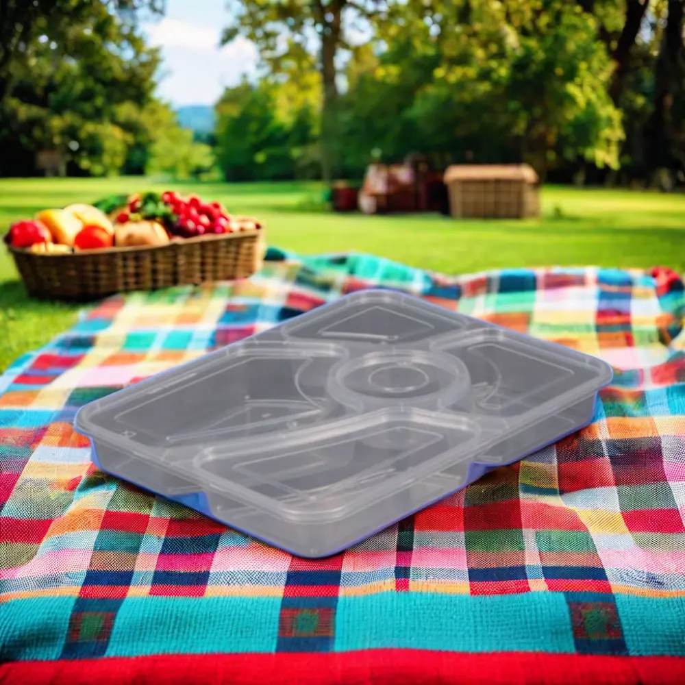 Boîtes à lunch en plastique jetables en vente chaude Conteneur de stockage de vidange d'aliments à emporter avec couvercle