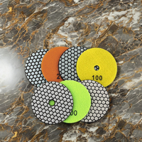 Offre Spéciale Tampons de Polissage Diamantés Humides/Secs, Graine Fine 50, Abrasifs pour Meuleuse d'Angle, Polissage de Pierre, Personnalisable, OEM, Marque de Premier Plan