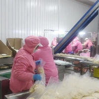 Gousses d'ail pelées en pot de 5lb Prix bon marché Ail pelé frais de Chine pour l'exportation