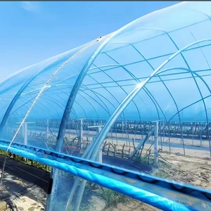 <span class=keywords><strong>Serre</strong></span> tunnel polyvalente à simple travée, personnalisable, économique, pour <span class=keywords><strong>poulailler</strong></span> et agriculture de tomates - Product Image 4