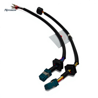 Módulo de Función Automotriz, Arnés de Cableado Corto de Doble Rama, Conector Blanco y Negro, Arnés de Cableado Personalizado OEM 12V 24V