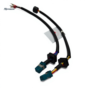 Module de fonction automobile, faisceau de câblage court, double branche, connecteur blanc et noir, faisceau de câblage personnalisé OEM 12V 24V - Product Image 5