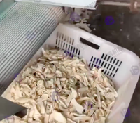 Cassave Poeder Verwerkingsfabriek Machine Apparatuur Yam Gari Cassave Wassen Peeling Snijden Blancheren Drogen Productielijn