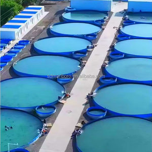 Bacs d'élevage de poissons en aquaculture, équipements commerciaux d'élevage de poissons, bassins d'élevage de poissons et de crevettes, bassins d'élevage hors sol - Product Image 5