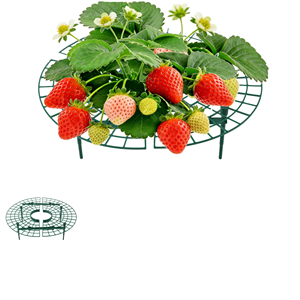 Supports de culture pour fraises, plateaux de maintien, étagères de culture, support anti-pourriture, cadre de levage pour jardinage, garde les fruits et baies au sec et éloigne la boue - Product Image 1