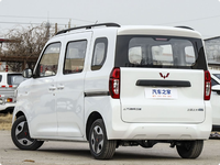 Automóvil WuLing, WuLing Zhiguang Nueva Energía 2025, Tipo Comfort de 201 km de Autonomía