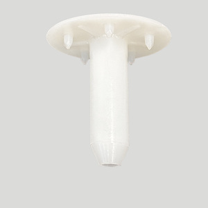 Clous d'isolation de mur extérieur en plastique HDPE de haute qualité Design moderne pour système EIFS/ETICS 20mm-250mm - Product Image 6