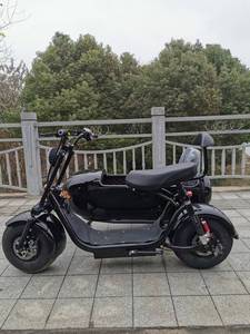 Motocyclette électrique à side-car, tricycle électrique à 3 roues avec side-car cargo pour <span class=keywords><strong>Vespa</strong></span> - Product Image 6