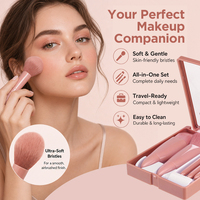 Ensemble de pinceaux de maquillage miniatures professionnels de haute qualité pour le visage, avec logo personnalisé, étiquette privée, pour la maison et les voyages, avec boîte miroir en nylon
