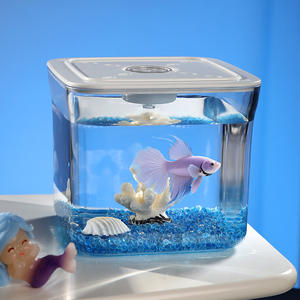Moderne Led Verlichting Plastic Acryl Rechthoekige Mini Desktop <span class=keywords><strong>Aquarium</strong></span> Milieuvriendelijk Mooi Huis <span class=keywords><strong>Aquarium</strong></span> Accessoire - Product Image 6