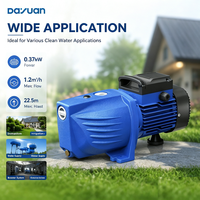 Pompe à jet auto-amorçante électrique DAYUAN, directement de l'usine, pour le relevage d'eau de puits et l'irrigation de jardin