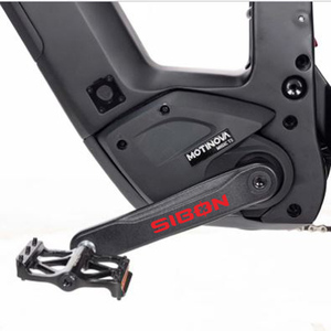 Vélo électrique de montagne 29 pouces en fibre de carbone, <span class=keywords><strong>batterie</strong></span> lithium 48V, 10 vitesses, moteur central 500W, frein à disque hydraulique, fabrication OEM/ODM en Chine - Product Image 3