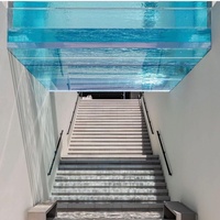Grande petite piscine décorative de style nouveau de 100 millimètres d'épaisseur, verre acrylique pour des piscines