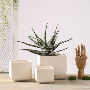 P190 Pots de <span class=keywords><strong>fleurs</strong></span> bon marché, design dégradé personnalisé, pots de <span class=keywords><strong>fleurs</strong></span> givrés pour plantes succulentes, pour décoration de salon et de maison - Product Image 6
