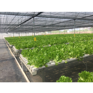 Cultivation hors-sol agricole, culture de laitue, plantation verticale, tuyaux de plantation, pots en filet, culture hydroponique, canal en <span class=keywords><strong>PVC</strong></span> - Product Image 5