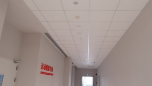 Bán buôn Trung Quốc Nhà cung cấp lộ Trần treo chính TEE hệ thống Trần lưới thành phần thép mạ kẽm - Product Image 5