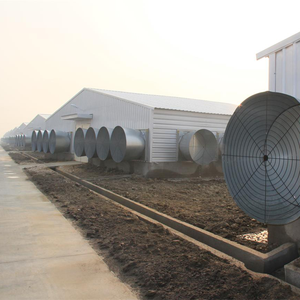Đúc Sẵn Kết Cấu Thép Gia Cầm Xây Dựng Trang Trại Đổ Gà Gà Thịt Nhà Thiết Kế - Product Image 4