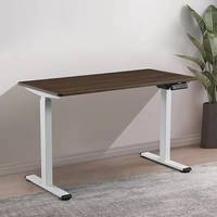 Fabricante profesional, mesa inteligente, motor único, eléctrico, ergonómico, de pie, escritorio de altura ajustable