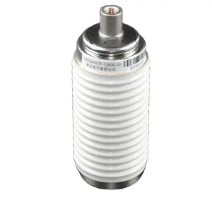 10kV Epoxidharz Embedded Poles Vakuum unterbrecher für Schütz