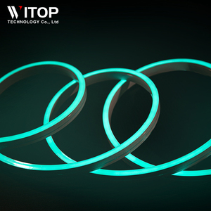 12*18MM DMX512RGB lámpara lineal Flexible de silicona tira de luz Flexible de neón 12V luces de colores Rgb Led Flexible Strins - Product Image 4
