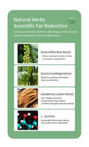 Quà Giáng Sinh: Cà phê giảm cân phổ biến, cà phê hòa tan tan chảy nhanh nhất - Product Image 4