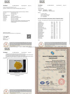 Giocattoli da Masticare per Cani in EVA Resistenti e Ecologici con Anello di Trazione per Addestramento Interattivo all'Aperto - Product Image 6