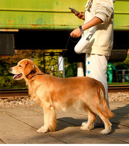 Ramasse-crottes écologique en plastique en forme de pieuvre pour animaux de compagnie, avec sacs à déjections – Design simple et durable, portable, inodore, pour ramasser les excréments de chien - Product Image 6