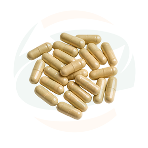 Капсулы из шелухи подорожника ODM/OEM: полностью натуральная пищевая добавка для поддержки здоровья кишечника, растительное волокно, капсулы из шелухи подорожника - Product Image 2