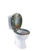 Siège de toilette rond en MDF imprimé couleur, personnalisé, à fermeture douce, avec charnières en alliage de zinc et plaque de couvercle amortie pour salle de bain, 18 pouces