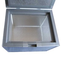 Refroidisseur Portable en mousse VPU de 42l, 10 pièces, glacière pour 220 v, avec plaque à glace 2-8c