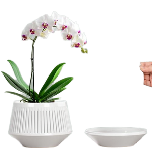 Maceta Grande de PP para Interiores, para Plantas Verdes y Bonsáis, Diseño Moderno Rústico/Tradicional, con Orificio de Drenaje, Ecológica - Product Image 1