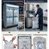 Sacs de stockage de glaçons en vrac robustes à remplissage manuel avec cordon de serrage, personnalisables avec logo, 5lb, 10lb, 15lb, 20lb, pour stations-service, restaurants, magasins