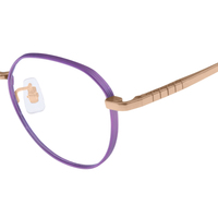 Monturas de Gafas Ópticas Modernas Minimalistas de Titanio IP en Oro Púrpura Brillante, Estilo de Diseñador para Mujer, OEM ODM