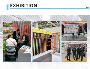 Corde de remorquage en plastique robuste <span class=keywords><strong>4x4</strong></span> personnalisée TZ, 5 m, <span class=keywords><strong>sangle</strong></span> de récupération pour voitures, outils d'urgence, Shandong - Product Image 5