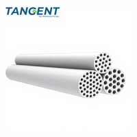 Filter Membran Keramik Mikrofiltrasi Ultrafiltrasi Biaya Rendah TANGENT dengan Housing untuk Pengolahan Aliran Industri 1000L/Jam