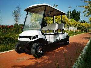 2025รถกอล์ฟสไตล์วินเทจไฟฟ้า5-6ที่นั่งหรูหรารถกอล์ฟพร้อมมอเตอร์5KW AC และแบตเตอรี่ตะกั่วกรด - Product Image 3