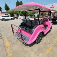 Mini chariot de golf électrique rose 4 places chariots de voiture de golf électrique Buggy chariot de golf électrique