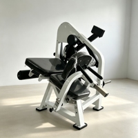Appareil de fitness professionnel double fonction pour extensions et flexions des jambes, à charge par plaques, vente en gros