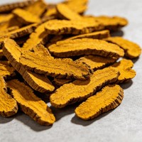 Extrait de racine de Coptis en poudre, berbérine 98%, supplément naturel à base de plantes, fourni par l'usine