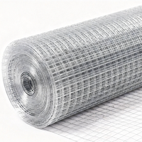 Rouleaux de grillage soudé galvanisé durable pour clôtures, sécurité et usage agricole