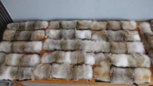 100% tela de felpa de poliéster Super suave estilo burbuja ecológico transpirable falso collares de piel de Coyote - Product Image 2