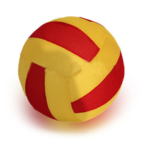 Jouets gonflables en PVC personnalisés, petite balle d'eau pour enfants, volley-ball en tissu