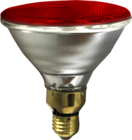 2025 nouveau Style rouge clair ampoule lampes chauffantes poulet lampe chauffante et abat-jour sevrage cochon chaleur lumière couveuse lampe pour ferme