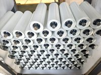 Rouleau de transport en acier anti-friction personnalisé CE, doublement étanche et durable, pour système de manutention de matériaux miniers