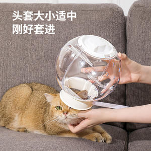 Collar isabelino al por mayor para gatos y perros, cubierta de cabeza espacial antimordeduras, suministros transpirables para mascotas - Product Image 3