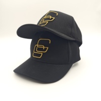 Logotipo bordado a mano personalizado, con estampado de leopardo, de tela de rizo, popelín, oxford deportivo común, dobby, argyle, para moda, deportes, unisex, ajustable