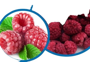 Frutta disidratata naturale intero congelato lamponi secchi per il cibo - Product Image 2